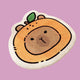 Capybara Plushy Mat - www.thelineahome.nl - Kawaii Homeware - Yuzu