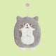 Chubby Cat Hand Towels