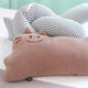 Cuddly Cat Cushions