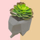 Cubic Elephant - The Linea Home - House Plants - House Planter - Herb Planter - Kawaii Homeware