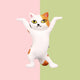 Dance Dance Kitty Cat Holder - The Linea Home - Spotty Cat